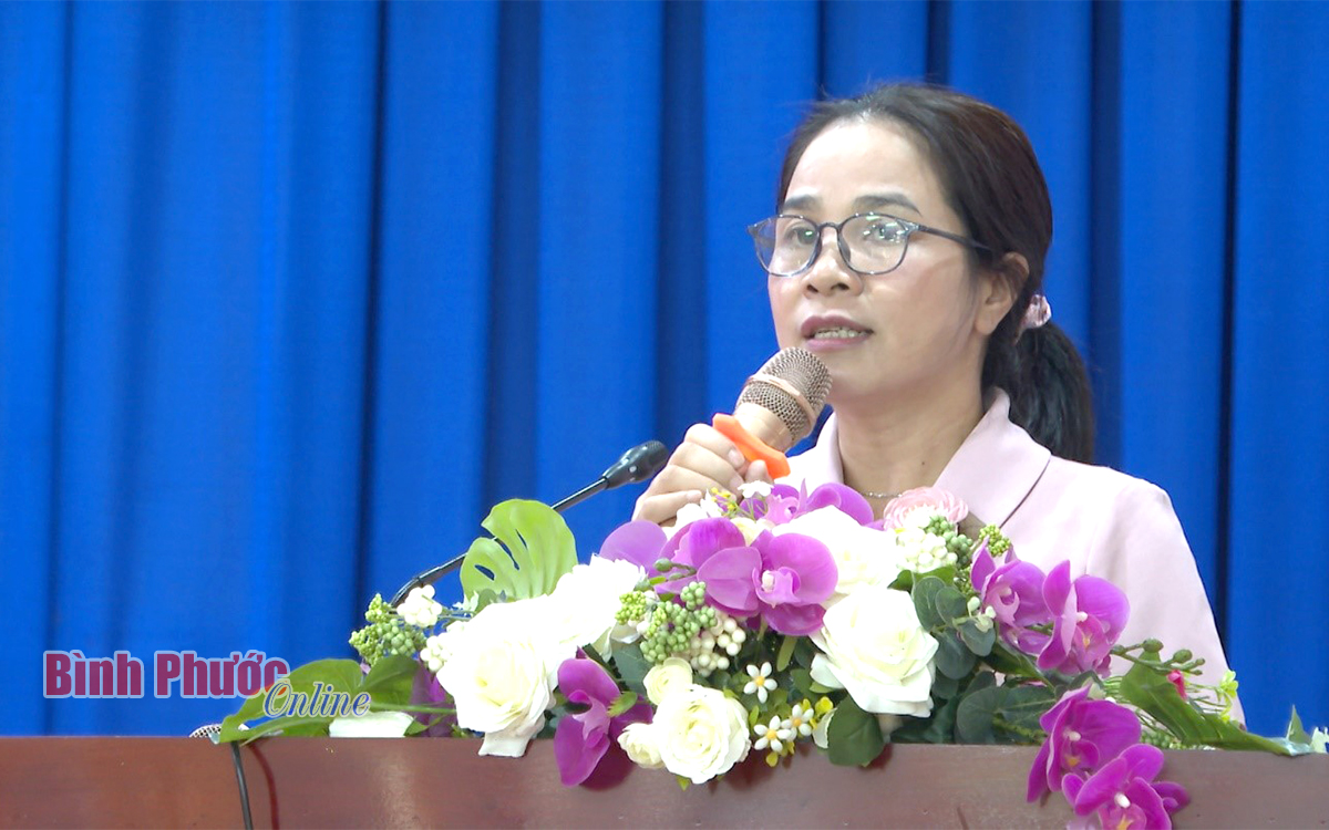 Bác sĩ CK II Đỗ Thị Nguyên, Phó Giám đốc phụ trách Sở Y tế phát biểu tại hội thảo